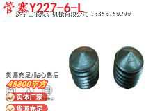 點(diǎn)擊查看詳細(xì)信息<br>標(biāo)題：英格索蘭隔膜泵配件管塞Y227-6-L 閱讀次數(shù)：174